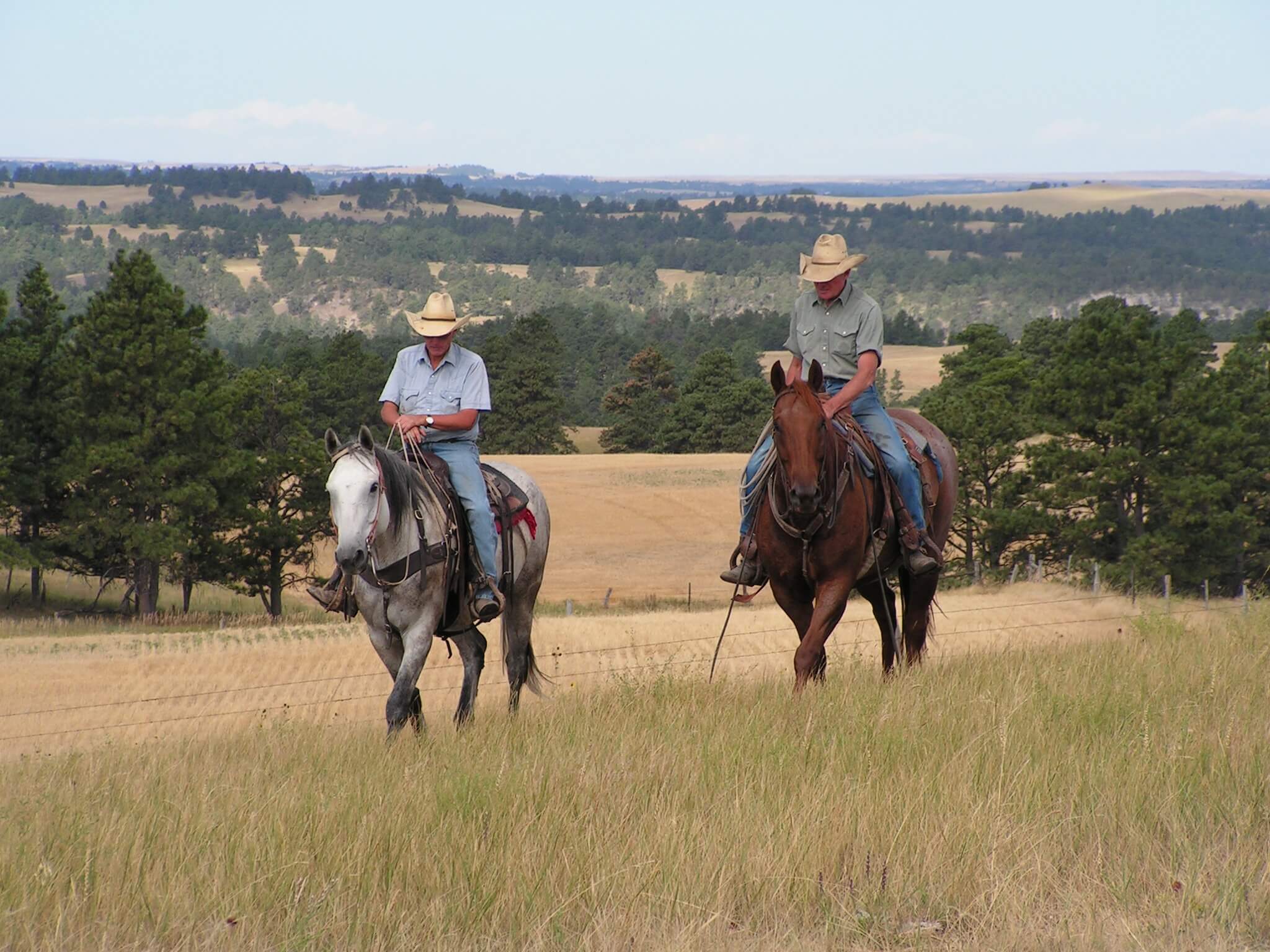 Down Home Ranch House two horsemen