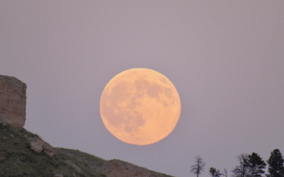 Moon of the Pink